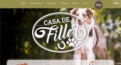 Desktop Screenshot of casa-de-filler.at